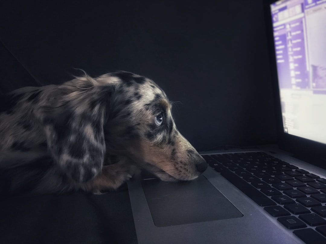 découvrez des images générées par intelligence artificielle mettant en scène des chiens, alliant créativité et technologie pour des visuels uniques.